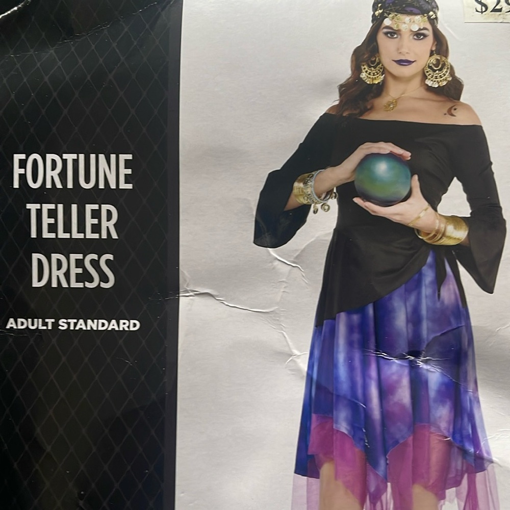 Fortune Teller Dress Adult Costume! New!